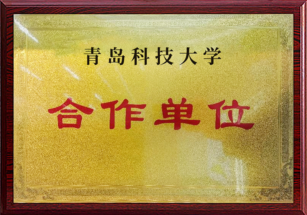 青島科技大學(xué)合作單位