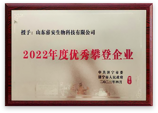 2022年度优秀攀登企业