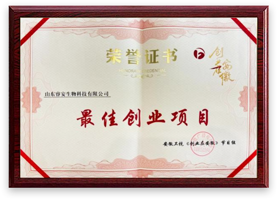 榮譽證書