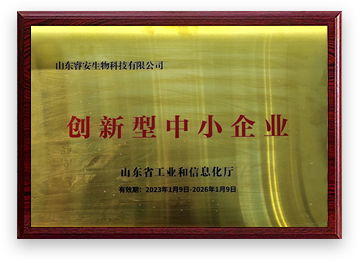 創(chuàng)新型中小企業(yè)