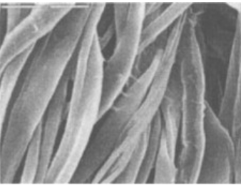 纖維鐵粉，其吸波性能比較強(qiáng)圖3