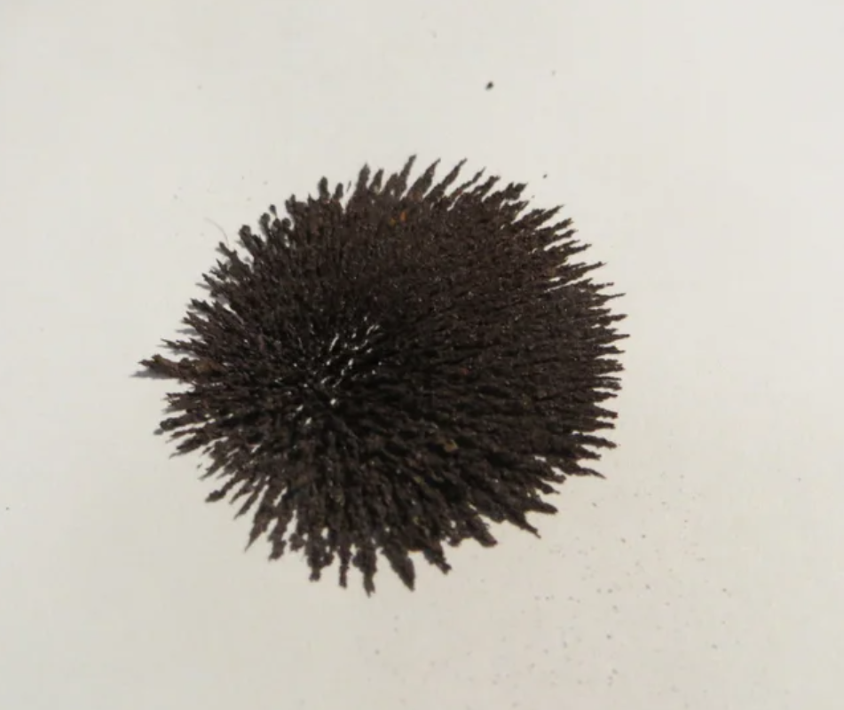 鐵粉，納米鐵粉 3N 99.9%圖2