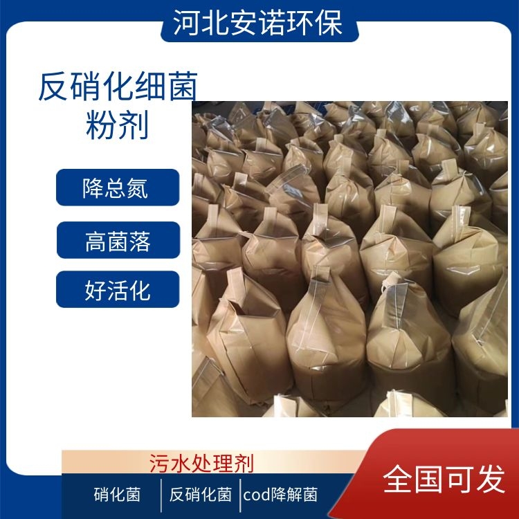 固体硝化菌种 降解氨氮cod提高污水生化效率图3