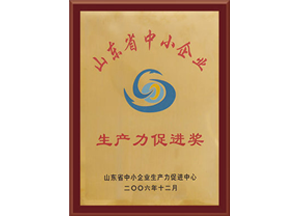 山东省中小企业生产力促进奖