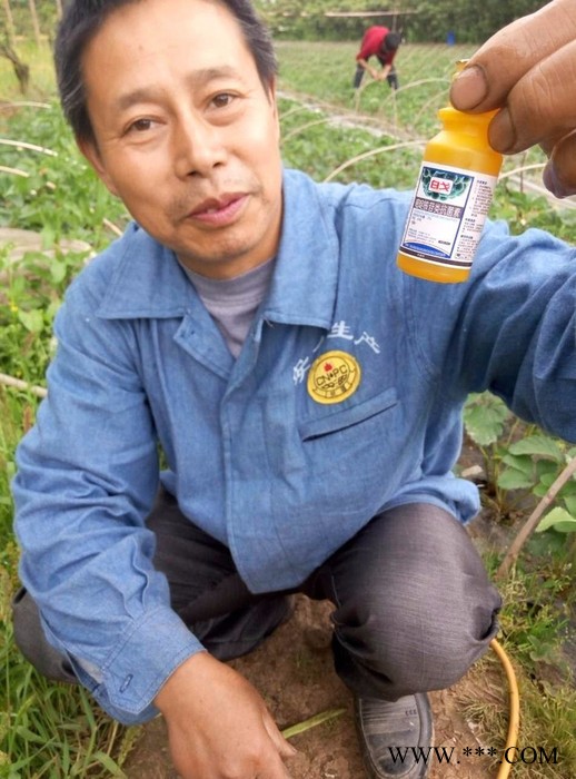郑州康拓森嘧啶核苷类抗菌剂农药杀菌剂厂价白粉病杀菌剂白粉病防治药白戈白粉病专用杀菌剂批发图4