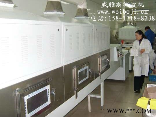 威雅斯VYS-25HM微波抗菌剂烘干设备图3