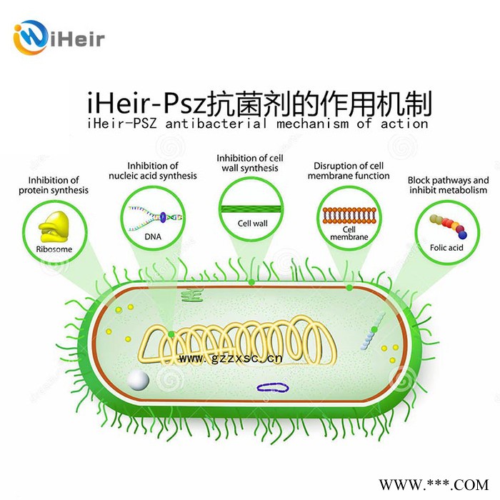 iHeir-PSZ104 抗菌剂厂家直供**图4