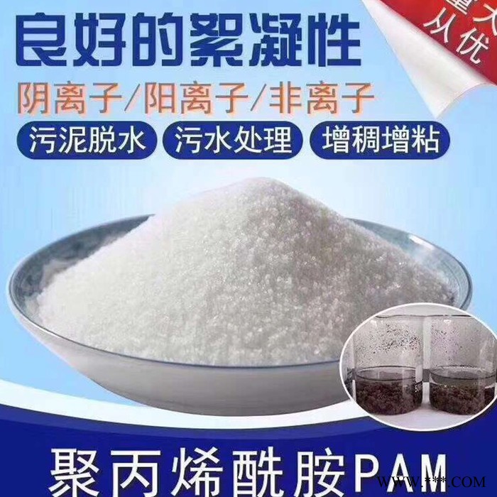 昱晟  高品质分散剂聚丙烯酰胺  聚丙烯酰胺离子度 阴离子聚丙烯酰胺 免费拿样图4