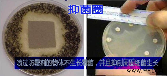 皮革防霉剂iHeir-Spray喷涂使用高效ASTMG21检测0级图3