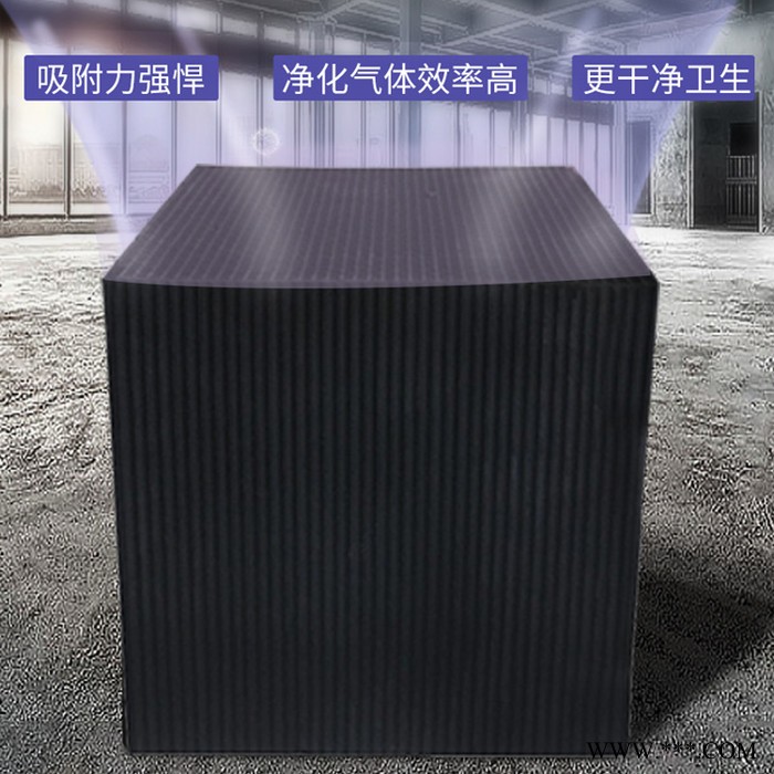 环保蜂窝活性炭 工业油漆房废气吸附 家装除甲醛 星海净水厂家图4