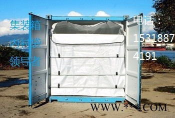 专业钛白粉集装箱内衬袋图2