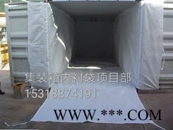专业钛白粉集装箱内衬袋图5