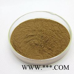 茶树籽提取物10:1 宁夏厂家供应茶皂素60% 茶叶籽提取物发泡剂原料图2