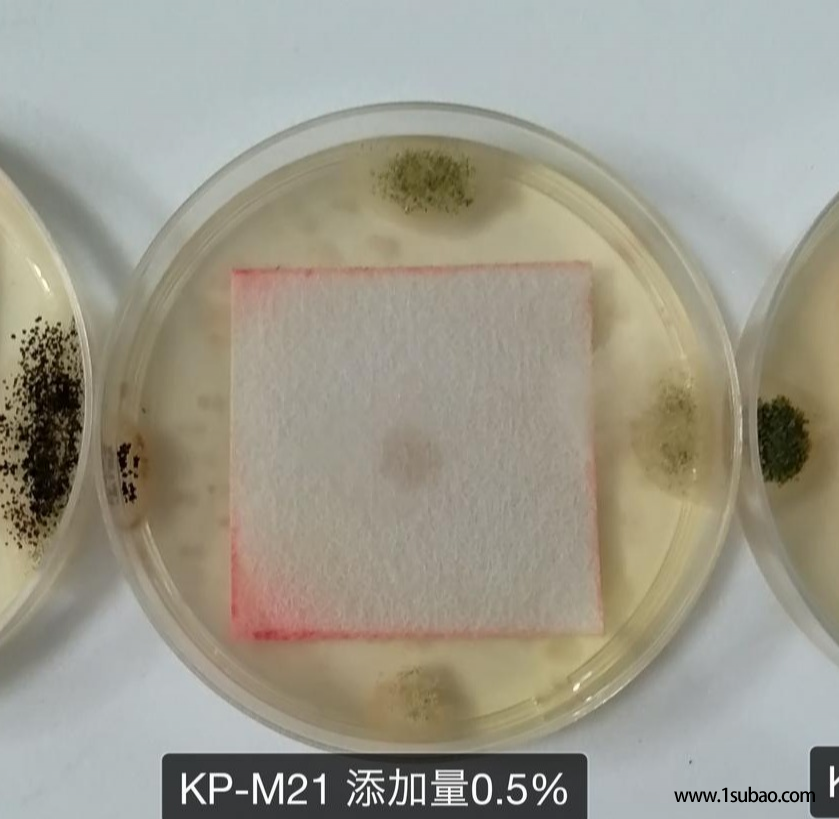 涂料防霉剂 油漆涂料抗菌剂图3