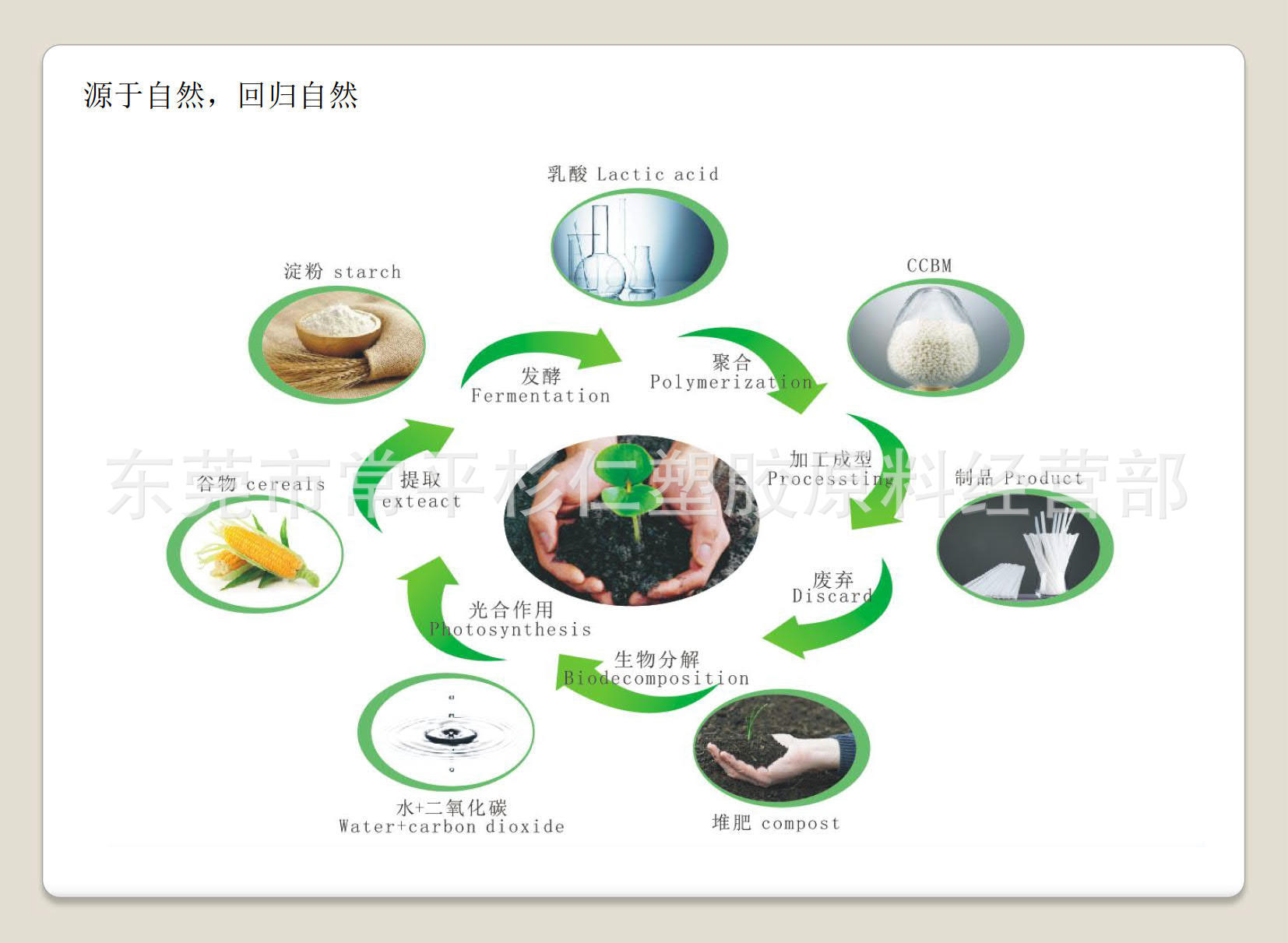 东莞全球环保科技 膜类_5