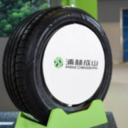浦林成山（山東）輪胎有限公司